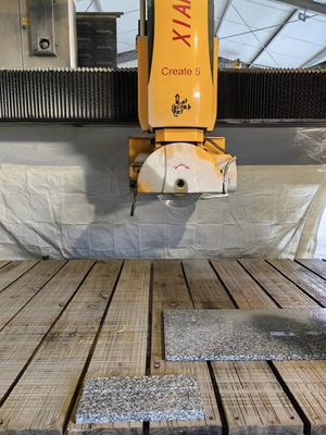 5 άξονες Bridge Saw Cutting Machine με τροφοδοσία ρεύματος και διάμετρο λεπίδας 350-450mm